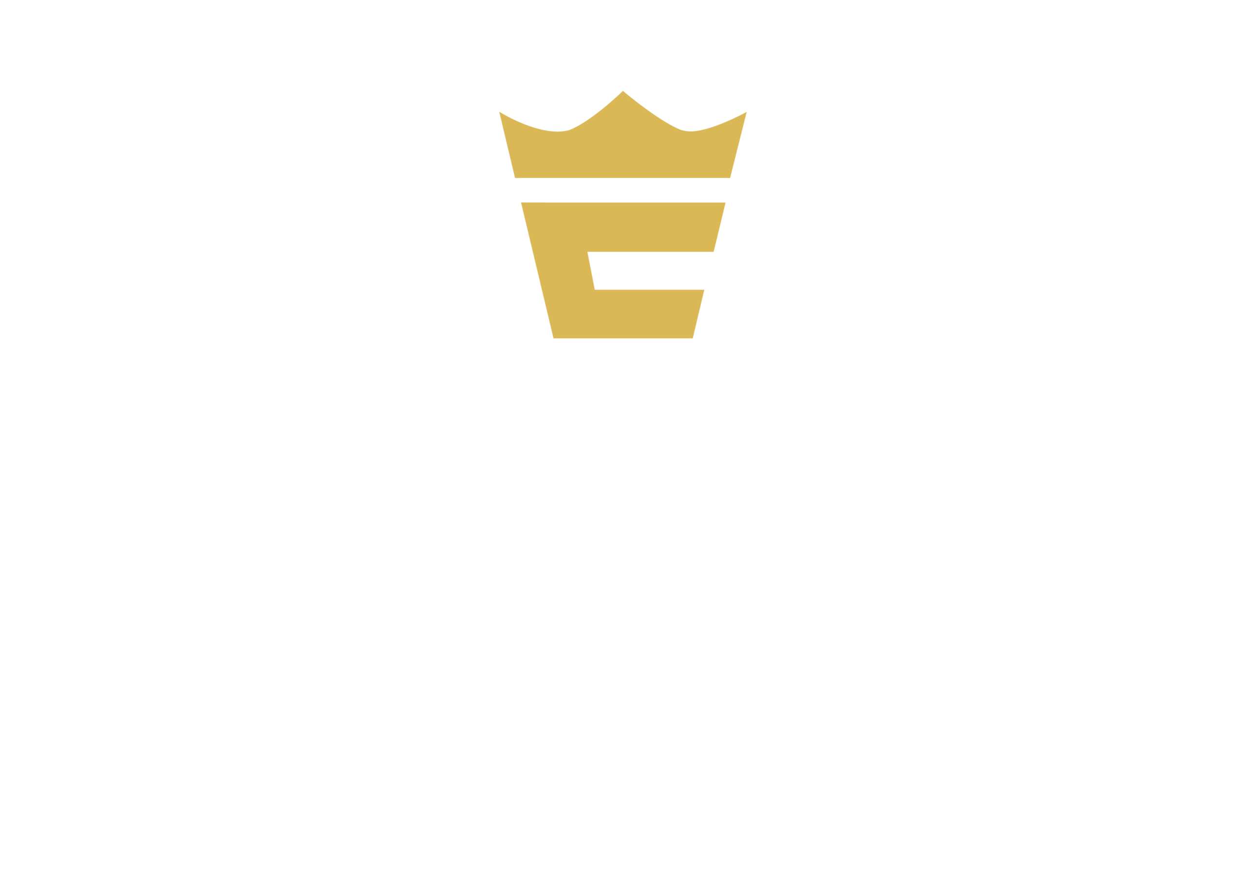 Fehérvár Enthroners Football
